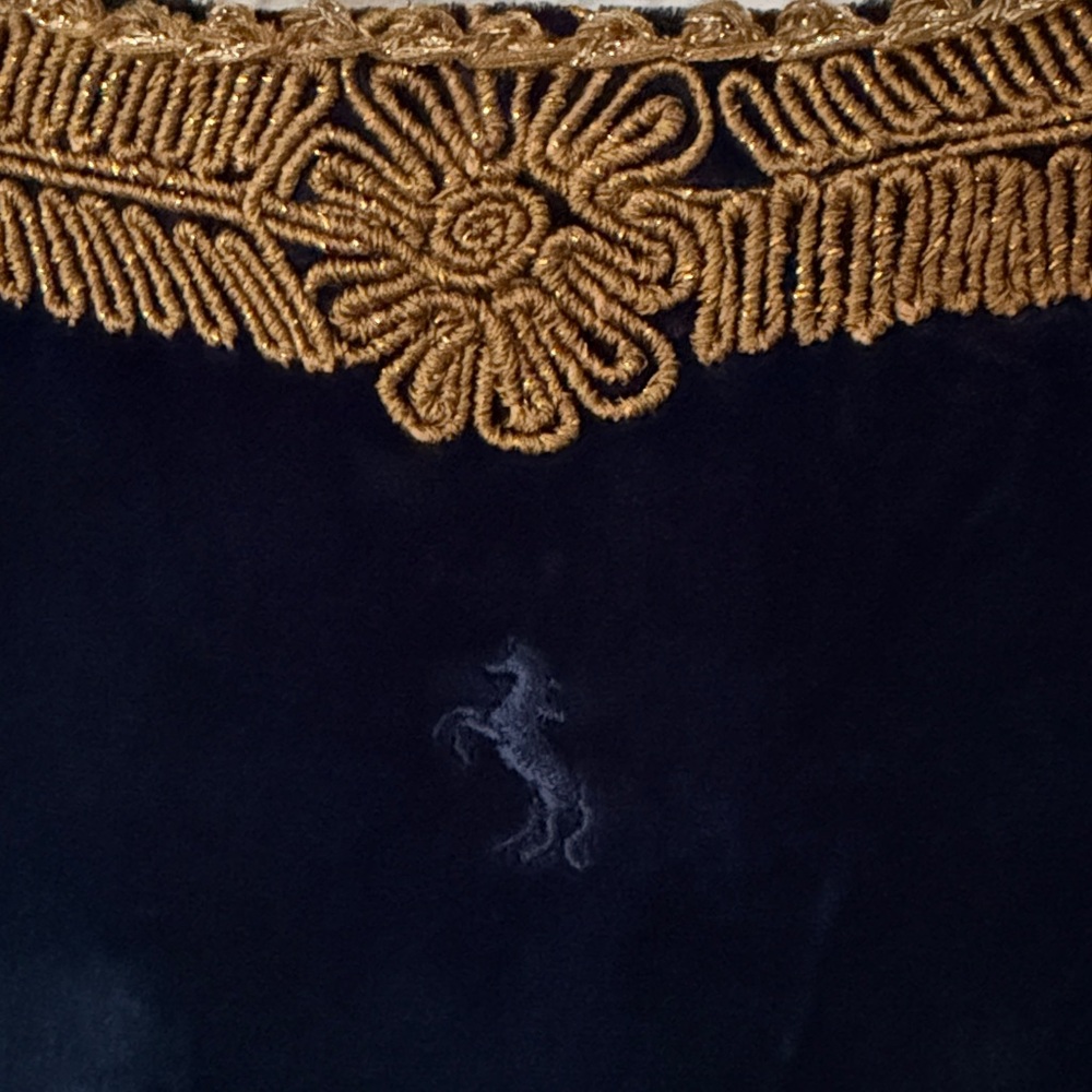Chasing Unicorns Velvet Jacket - Picture 5 of 5